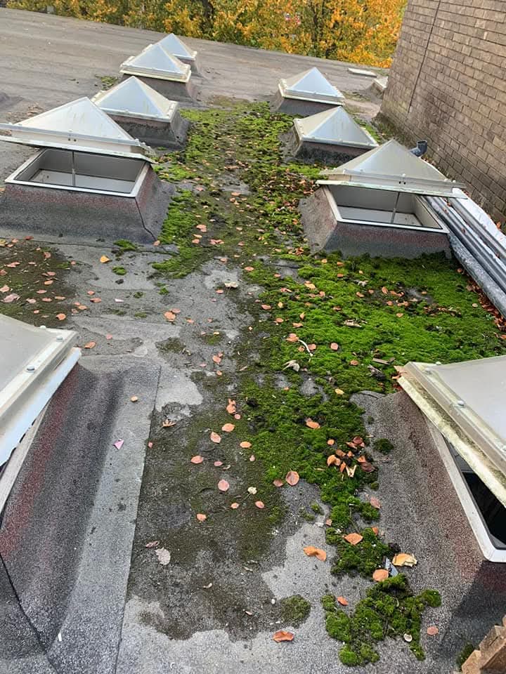 Professional jet washing and pressure cleaning services by DHP Jet Services in Doncaster 3